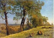 Albert Bierstadt Landscape, Rockland County, California Spain oil painting artist